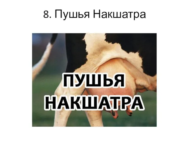 8. Пушья Накшатра