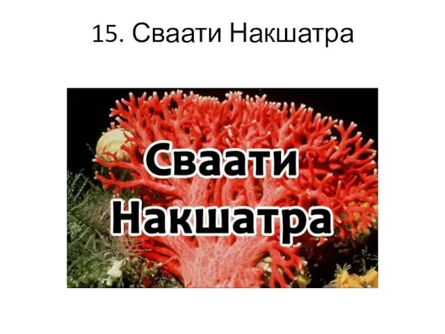 15. Сваати Накшатра