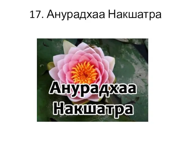 17. Анурадхаа Накшатра