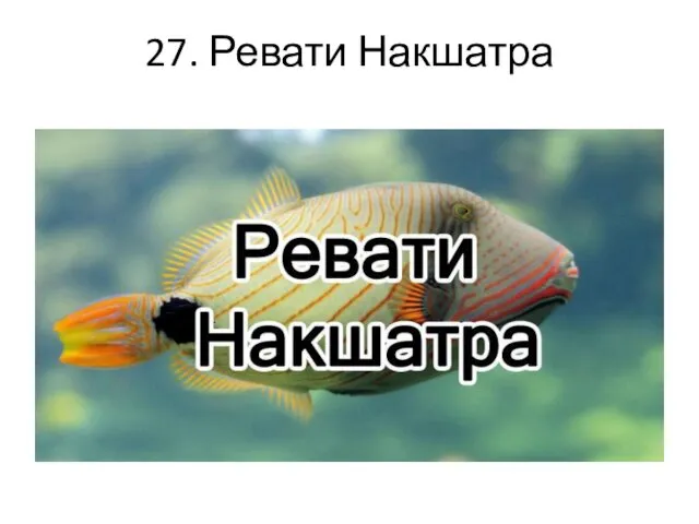 27. Ревати Накшатра