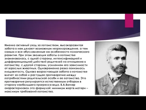 Именно активный уход за потомством, высокоразвитая забота о нем делают возможным