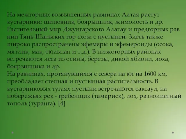 На межгорных возвышенных равнинах Алтая растут кустарники: шиповник, боя­рышник, жимолость и