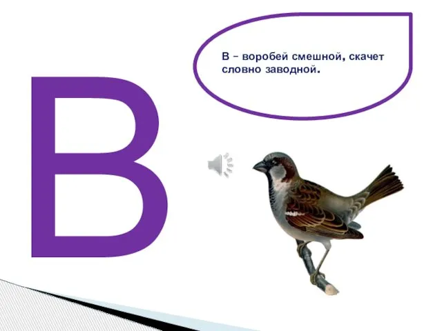 В В – воробей смешной, скачет словно заводной.