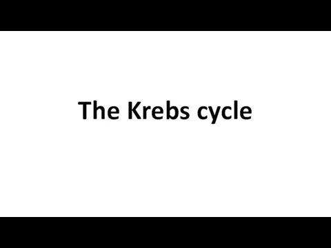 The Krebs cycle