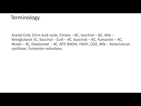 Terminology Acetyl-CoA, Citric acid cycle, Citrate – 6C, Isocitrat – 6C,