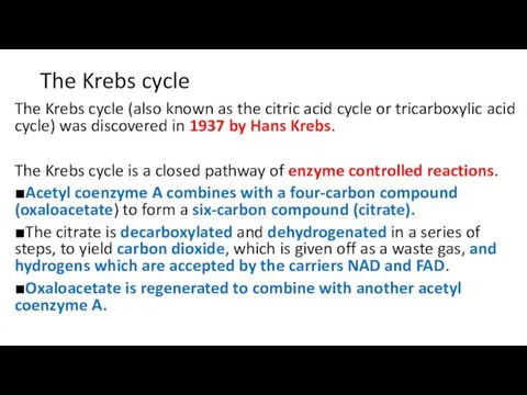 The Krebs cycle The Krebs cycle (also known as the citric