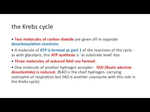 the Krebs cycle • Two molecules of carbon dioxide are given