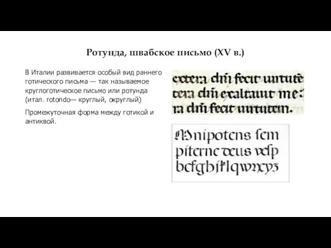 Ротунда, швабское письмо (XV в.) В Италии развивается особый вид раннего