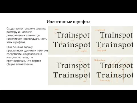 Идентичные шрифты Сходство по толщине штриха, размеру и наличию декоративных элементов