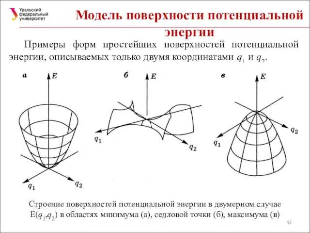 Модель поверхности потенциальной энергии Примеры форм простейших поверхностей потенциальной энергии, описываемых