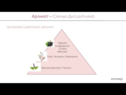 Аромат – Семья Дисциплина