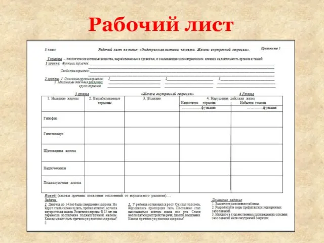 Рабочий лист