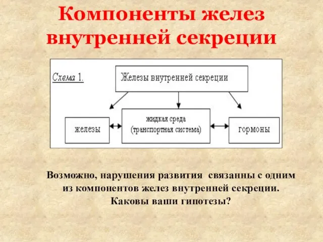 Компоненты желез внутренней секреции Возможно, нарушения развития связанны с одним из