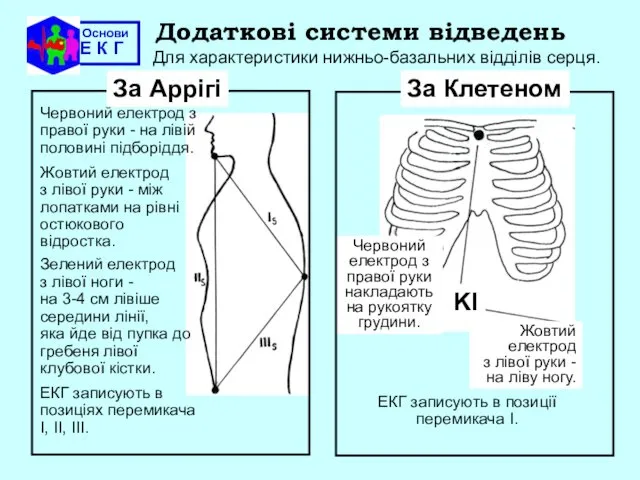 Основи Е К Г Червоний електрод з правої руки - на