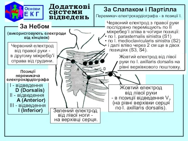 Основи Е К Г Додаткові системи відведень І - вiдведення D