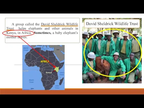 A group called the David Sheldrick Wildlife Trust helps elephants and