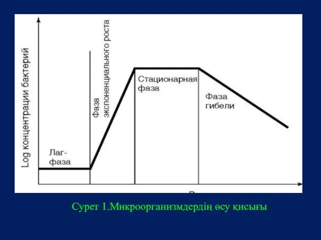 Сурет 1.Микроорганизмдердің өсу қисығы