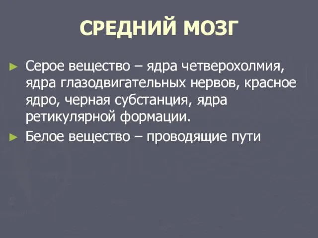 СРЕДНИЙ МОЗГ Серое вещество – ядра четверохолмия, ядра глазодвигательных нервов, красное