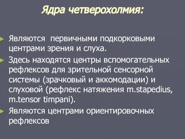 Ядра четверохолмия: Являются первичными подкорковыми центрами зрения и слуха. Здесь находятся