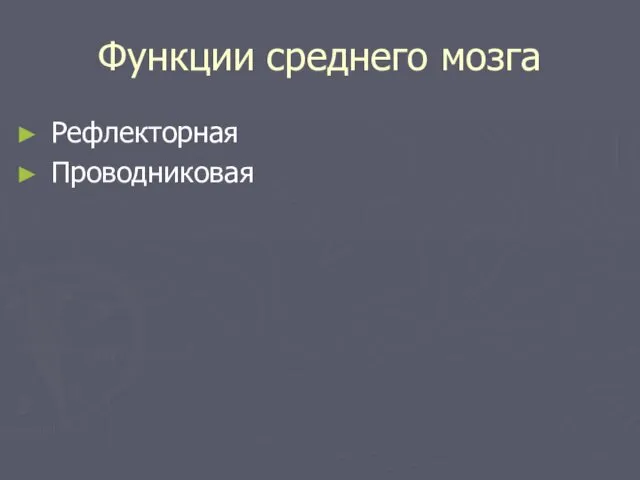 Функции среднего мозга Рефлекторная Проводниковая