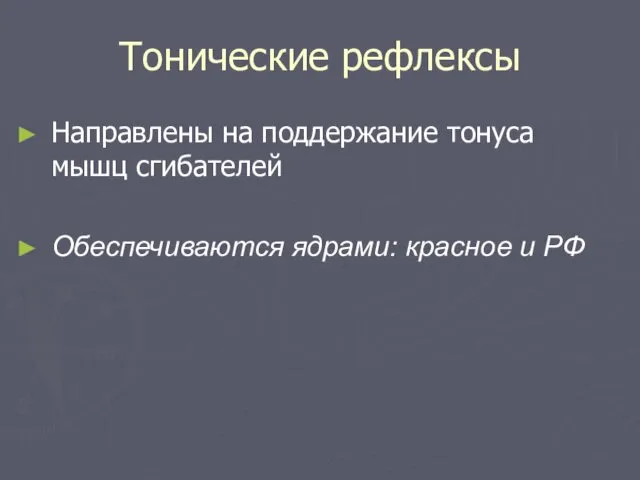 Тонические рефлексы Направлены на поддержание тонуса мышц сгибателей Обеспечиваются ядрами: красное и РФ