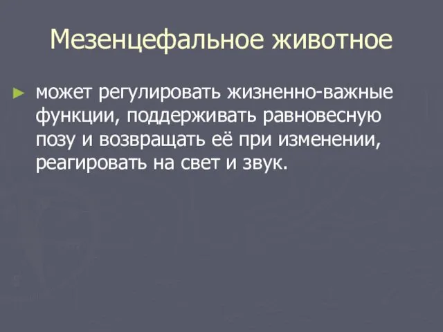 Мезенцефальное животное может регулировать жизненно-важные функции, поддерживать равновесную позу и возвращать