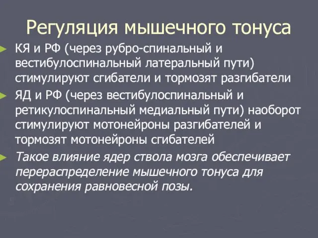 Регуляция мышечного тонуса КЯ и РФ (через рубро-спинальный и вестибулоспинальный латеральный