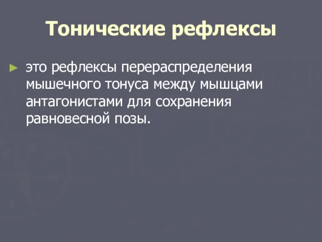 Тонические рефлексы это рефлексы перераспределения мышечного тонуса между мышцами антагонистами для сохранения равновесной позы.