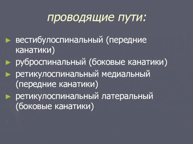 проводящие пути: вестибулоспинальный (передние канатики) руброспинальный (боковые канатики) ретикулоспинальный медиальный (передние канатики) ретикулоспинальный латеральный (боковые канатики)