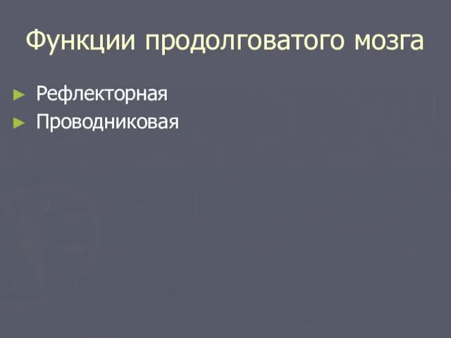 Функции продолговатого мозга Рефлекторная Проводниковая