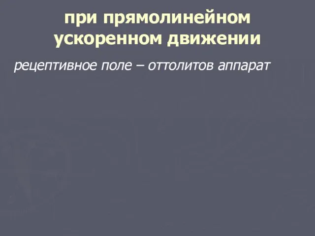 при прямолинейном ускоренном движении рецептивное поле – оттолитов аппарат