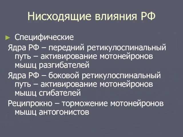 Нисходящие влияния РФ Специфические Ядра РФ – передний ретикулоспинальный путь –