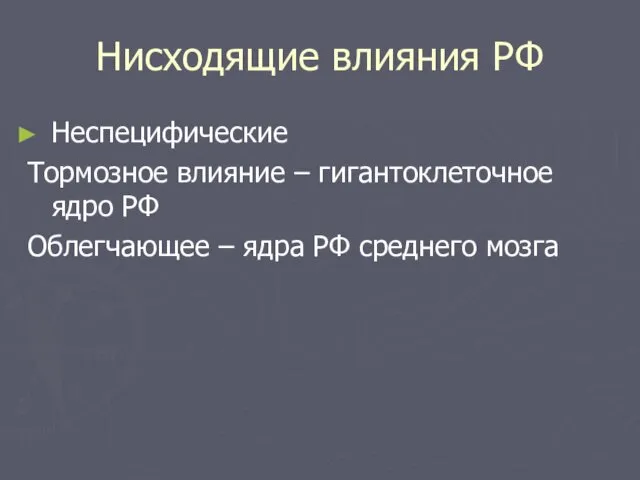 Нисходящие влияния РФ Неспецифические Тормозное влияние – гигантоклеточное ядро РФ Облегчающее – ядра РФ среднего мозга