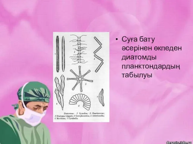 Суға бату әсерінен өкпеден диатомды планктондардың табылуы