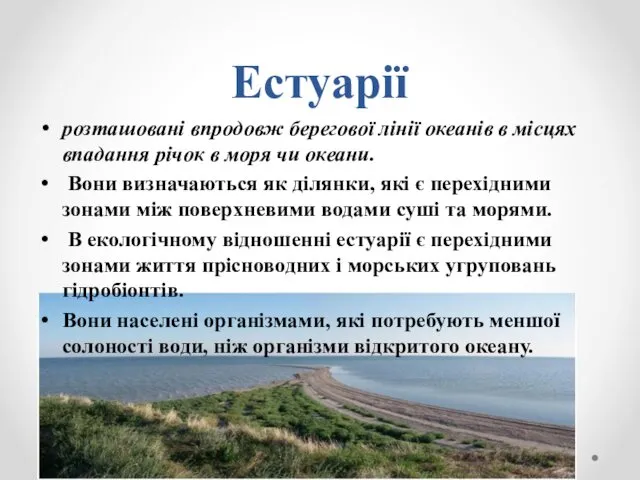 Естуарії розташовані впродовж берегової лінії океанів в місцях впадання річок в