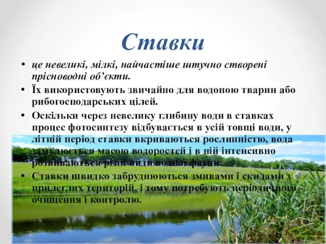 Ставки це невеликі, мілкі, найчастіше штучно створені прісноводні об’єкти. Їх використовують