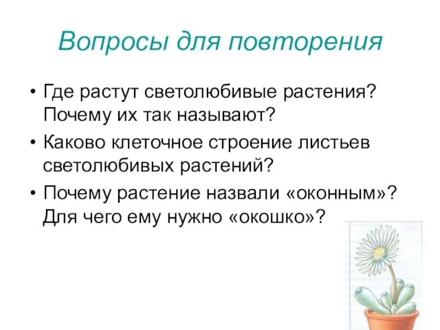 Вопросы для повторения Где растут светолюбивые растения? Почему их так называют?