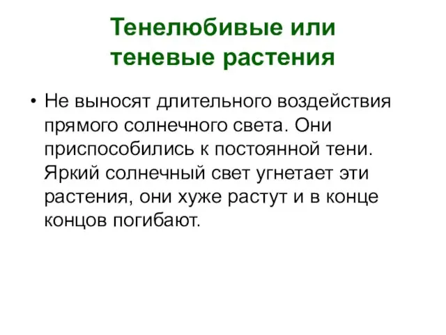 Тенелюбивые или теневые растения Не выносят длительного воздействия прямого солнечного света.