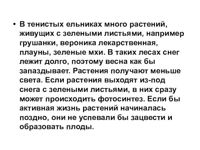 В тенистых ельниках много растений, живущих с зелеными листьями, например грушанки,