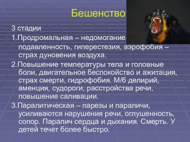 Бешенство 3 стадии 1.Продромальная – недомогание, подавленность, гиперестезия, аэрофобия – страх