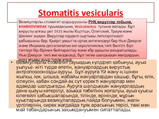 Stomatitis vesicularis Везикулярлы стоматит (ауыздың күлдіреп қабынуы, ауыз уылуы)- жіті түрде