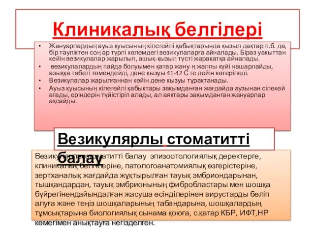 Клиникалық белгілері Жануарлардың ауыз қуысының кілегейлі қабықтарында қызыл дақтар п.б. да,