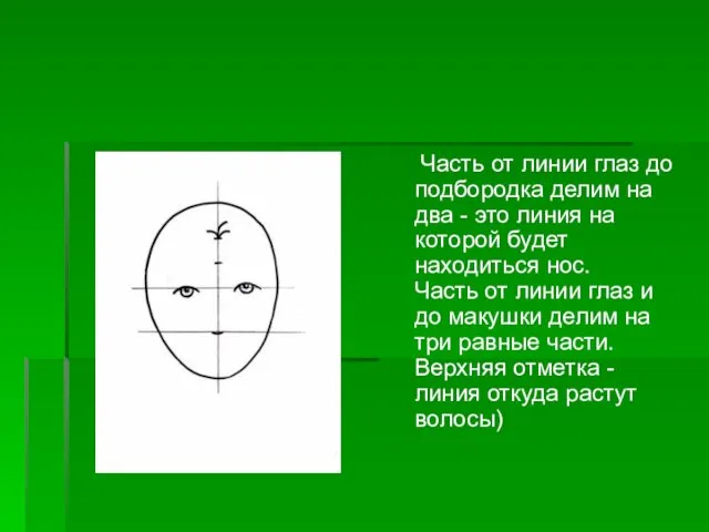 Часть от линии глаз до подбородка делим на два - это