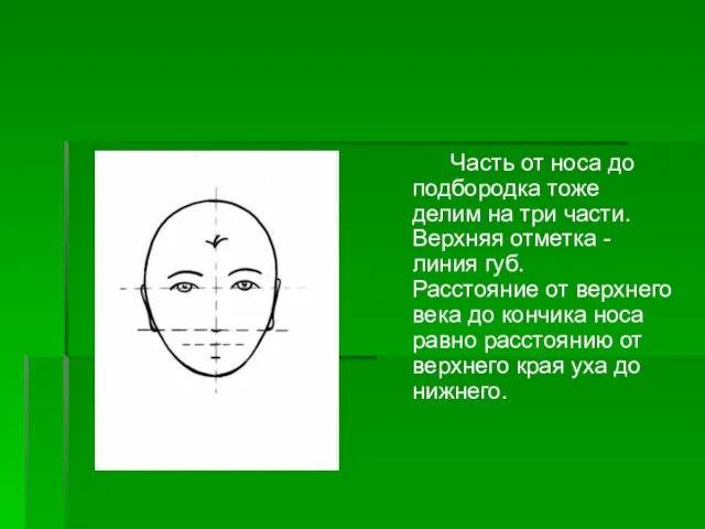 Часть от носа до подбородка тоже делим на три части. Верхняя