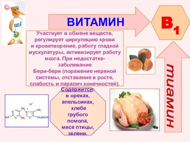 ВИТАМИН B1 Участвует в обмене веществ, регулирует циркуляцию крови и кроветворение,