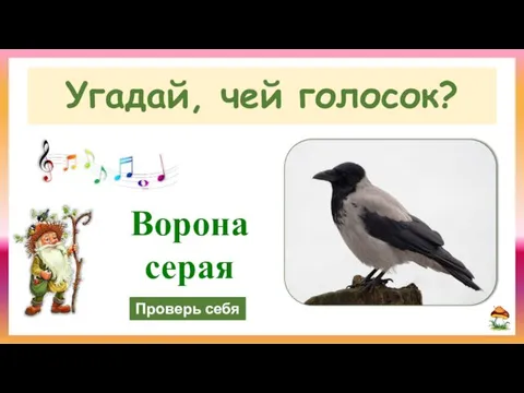 Проверь себя Угадай, чей голосок? Ворона серая