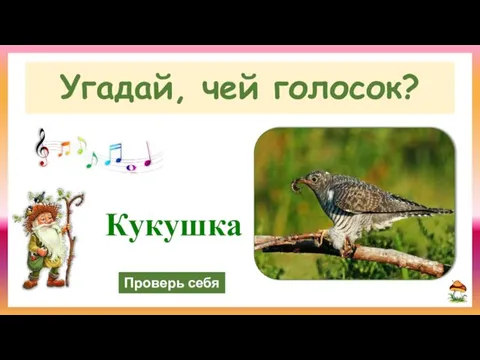 Проверь себя Угадай, чей голосок? Кукушка