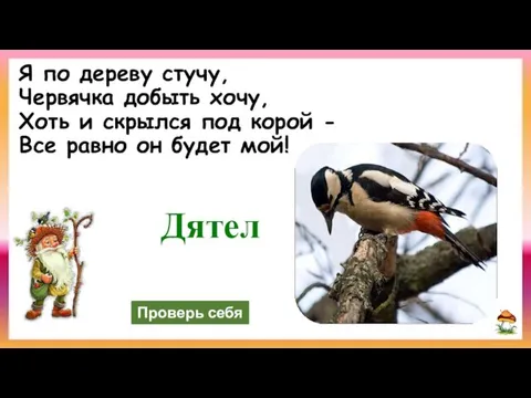 Я по дереву стучу, Червячка добыть хочу, Хоть и скрылся под