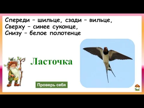 Спереди – шильце, сзади – вильце, Сверху – синее суконце, Снизу