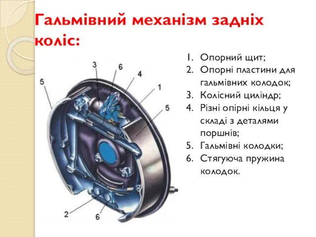 Гальмівний механізм задніх коліс: Опорний щит; Опорні пластини для гальмівних колодок;